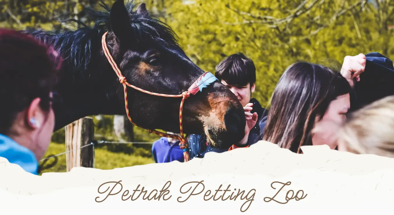 Petrak Petting Zoo